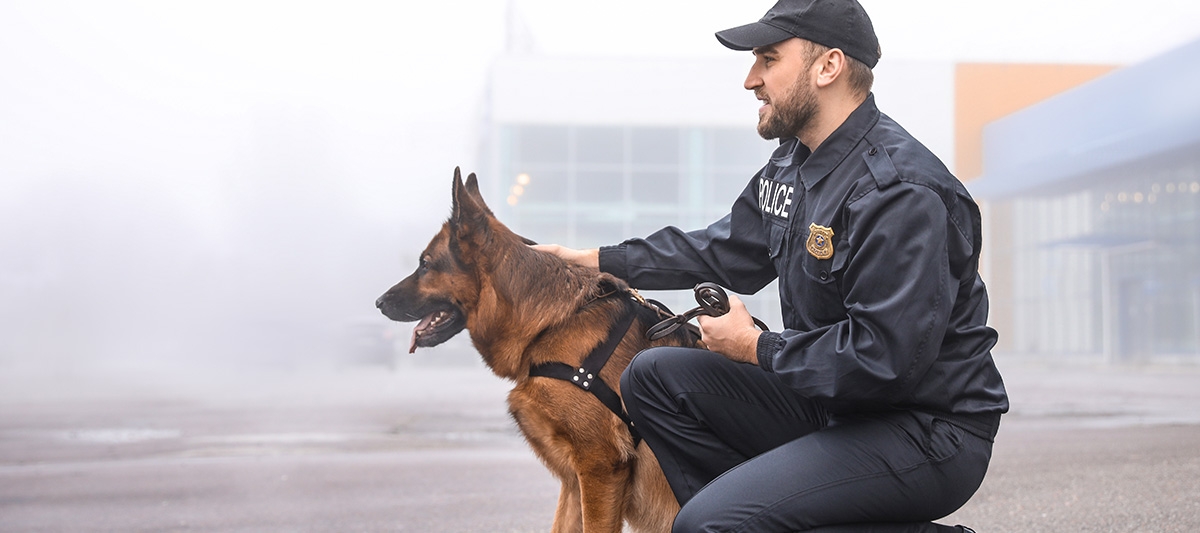 police dog